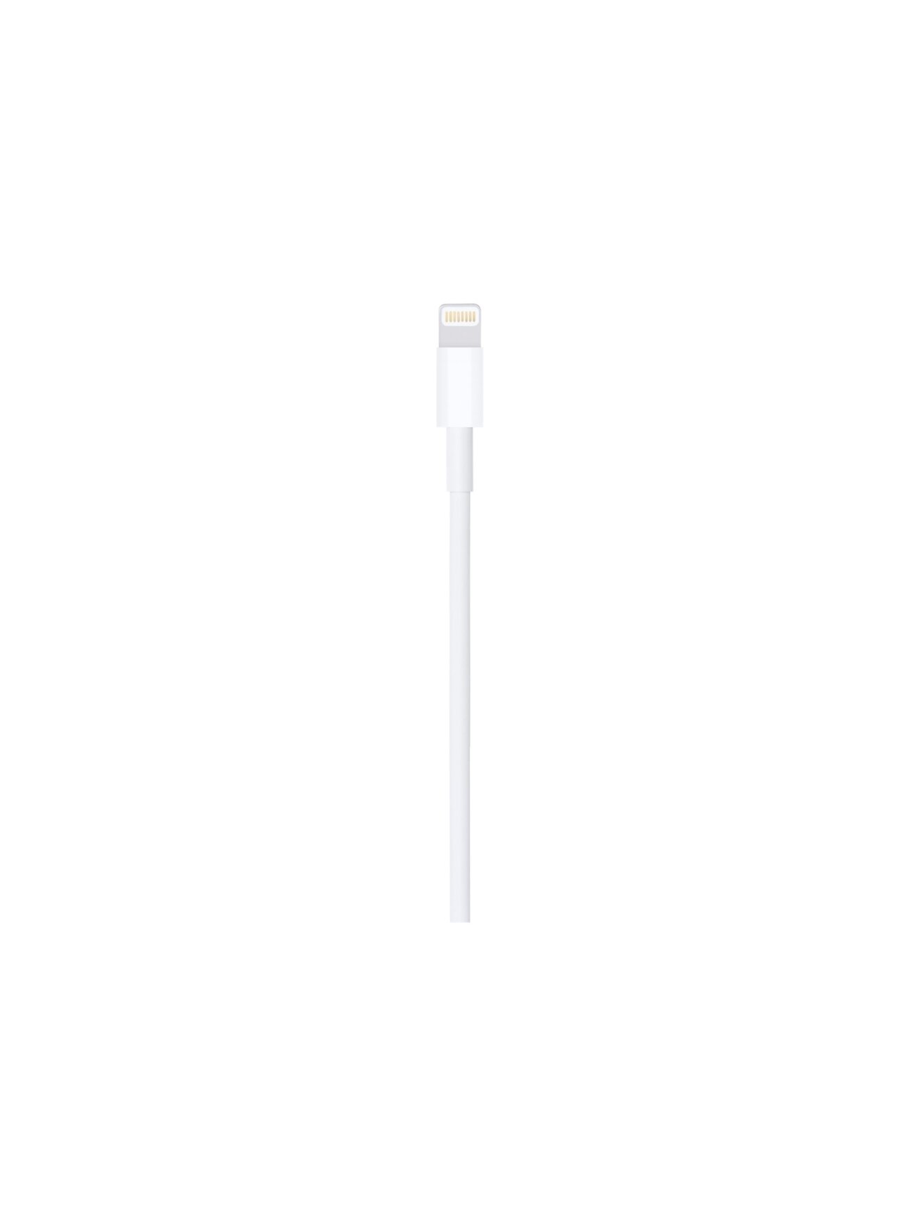 Apple Lightning to USB Cable (1m) | Apple 1 Apple Lightning to USB Cable (1m) | Apple 1