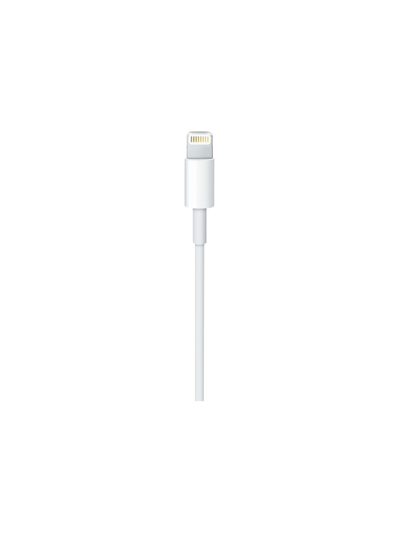 Apple USB-C to Lightning Cable (1m) | Apple 2