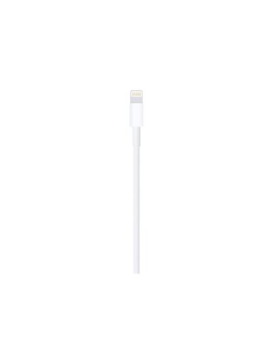Apple Lightning to USB Cable (1m) | Apple Apple Lightning to USB Cable (1m) | Apple