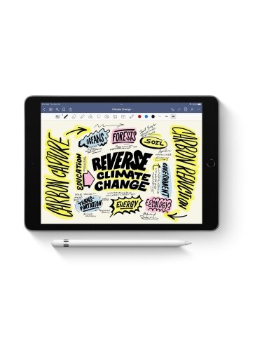 Apple | Pencil (1st Generation)