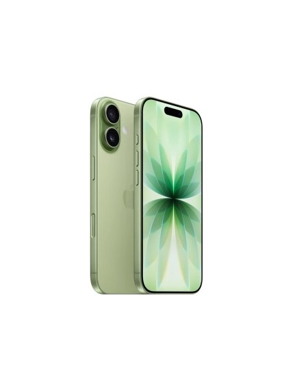 Apple | iPhone 17 | Sage | 6.3 " | 2622 x 1206 pixels | OLED | A19 | Internal RAM 8 GB | 256 GB | Dual SIM | Nano SIM | 5G | Main camera resolution 48 MP | iOS 26 | Secondary camera resolution 48 MP 1