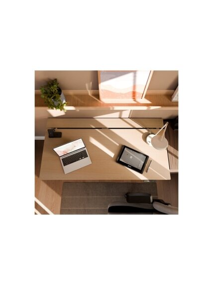 Arozzi Electric Standing Desk | Arena Nordico | Birch 6 Arozzi Electric Standing Desk | Arena Nordico | Birch 6
