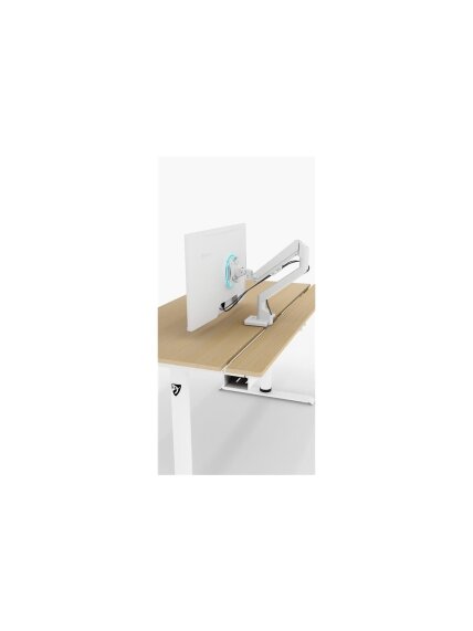 Arozzi Electric Standing Desk | Arena Nordico | Birch 7 Arozzi Electric Standing Desk | Arena Nordico | Birch 7