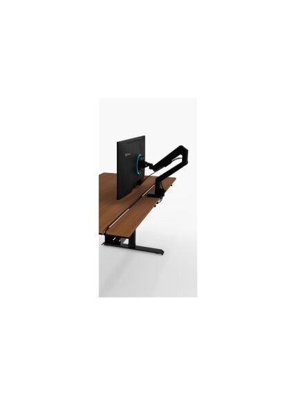 Arozzi Electric Standing Desk | Arena Nordico | Walnut 6