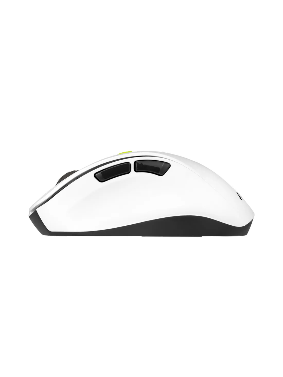 Asus Mouse | MD105 | Wireless | Bluetooth, 2.4GHz | Volt Green 2 Asus Mouse | MD105 | Wireless | Bluetooth, 2.4GHz | Volt Green 2