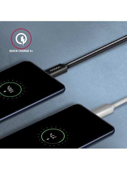 AXAGON | SPEED + USB-C, USB 20Gbps Cable, 0.5 m | BUCM32-CM05AB | USB Type-C to USB Type-C 4