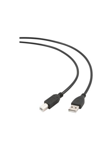 Cablexpert | CCP-USB2-AMBM-6 | USB-A to USB-B USB A | USB B Cablexpert | CCP-USB2-AMBM-6 | USB-A to USB-B USB A | USB B