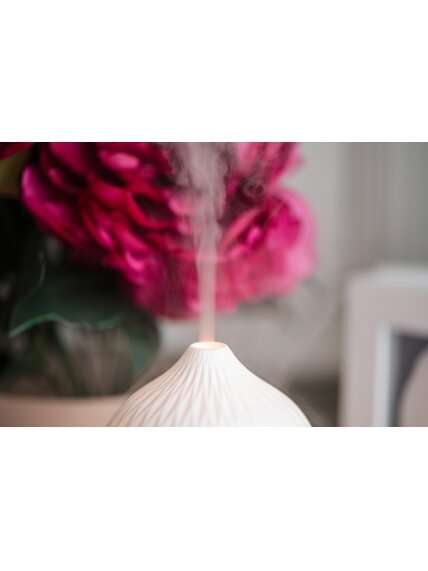 Camry | Ultrasonic aroma diffuser 3in1 | CR 7970 | Ultrasonic | Suitable for rooms up to 25 m² | White 10 Camry | Ultrasonic aroma diffuser 3in1 | CR 7970 | Ultrasonic | Suitable for rooms up to 25 m² | White 10
