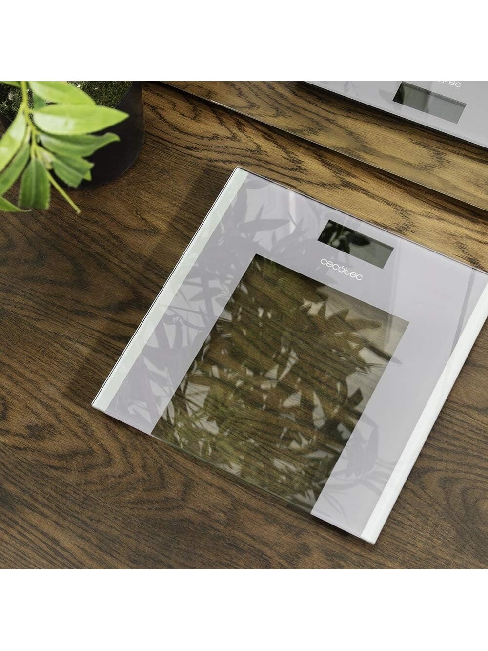 Cecotec Bathroom Scales | Surface Precision Healthy | Maximum weight (capacity) 180 | Grey/Transparent 4