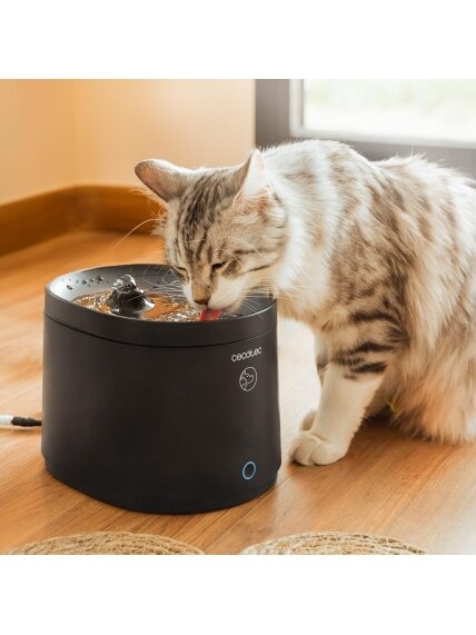 Cecotec Smart Pet Fountain | Pumba 2500 Refresh | Capacity 2.5 L | Black 2 Cecotec Smart Pet Fountain | Pumba 2500 Refresh | Capacity 2.5 L | Black 2