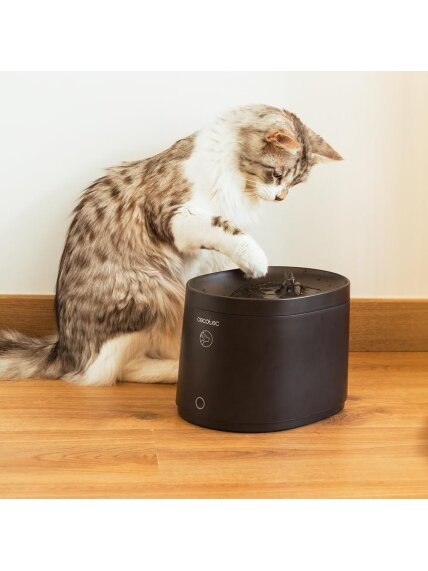 Cecotec Smart Pet Fountain | Pumba 2500 Refresh | Capacity 2.5 L | Black 4 Cecotec Smart Pet Fountain | Pumba 2500 Refresh | Capacity 2.5 L | Black 4
