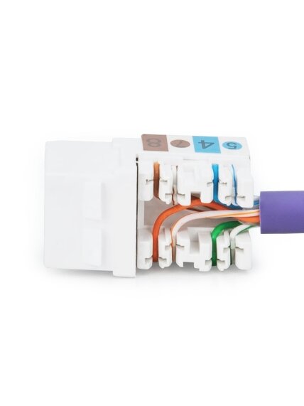 Class E CAT 6 Keystone Jack | DN-93601 | Unshielded RJ45 to LSA | Cable installation via LSA strips, color coded according to EIA/TIA 568 A & B; The Cat 6 keystone module supports transmission speeds of up to 1 GBit/s & 250 MHz in connection with cat 6 or 2 Class E CAT 6 Keystone Jack | DN-93601 | Unshielded RJ45 to LSA | Cable installation via LSA strips, color coded according to EIA/TIA 568 A & B; The Cat 6 keystone module supports transmission speeds of up to 1 GBit/s & 250 MHz in connection with cat 6 or 2