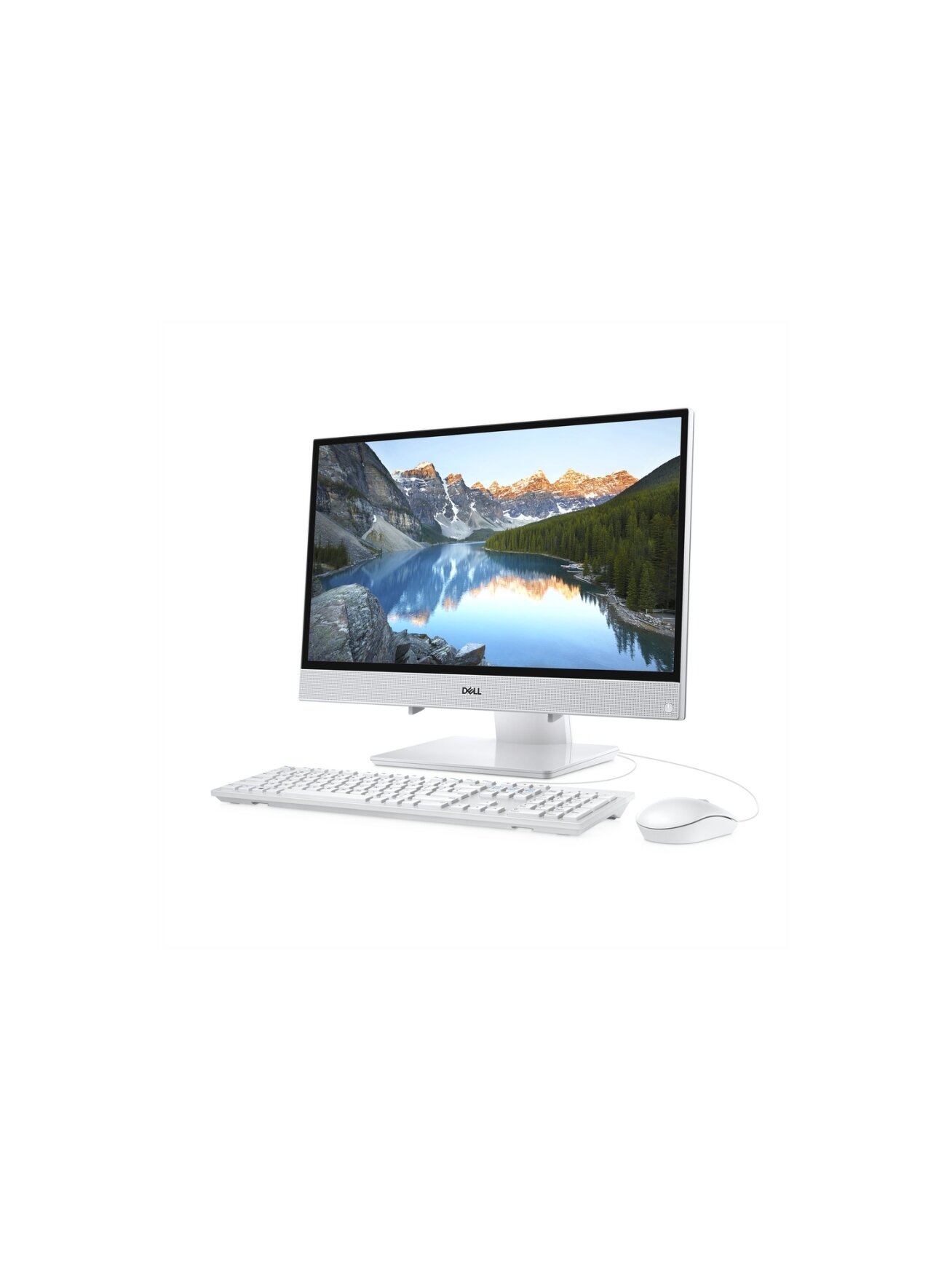 Dell | Optical Mouse | MS116 | wired | White 4