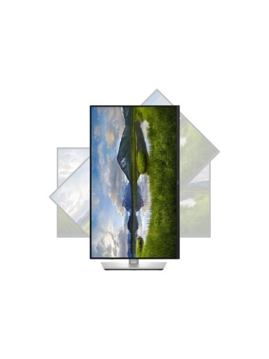 Dell | P2425DE | 24 " | IPS | 16:9 | 100 Hz | 5 ms | 2560 x 1440 pixels | 350 cd/m² | HDMI ports quantity 1