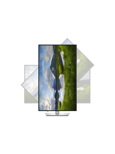 Dell | P3225DE | 32 " | IPS | 100 Hz | 5 ms | 2560 x 1440 pixels | 350 cd/m² | HDMI ports quantity 1 | Warranty 60 month(s)