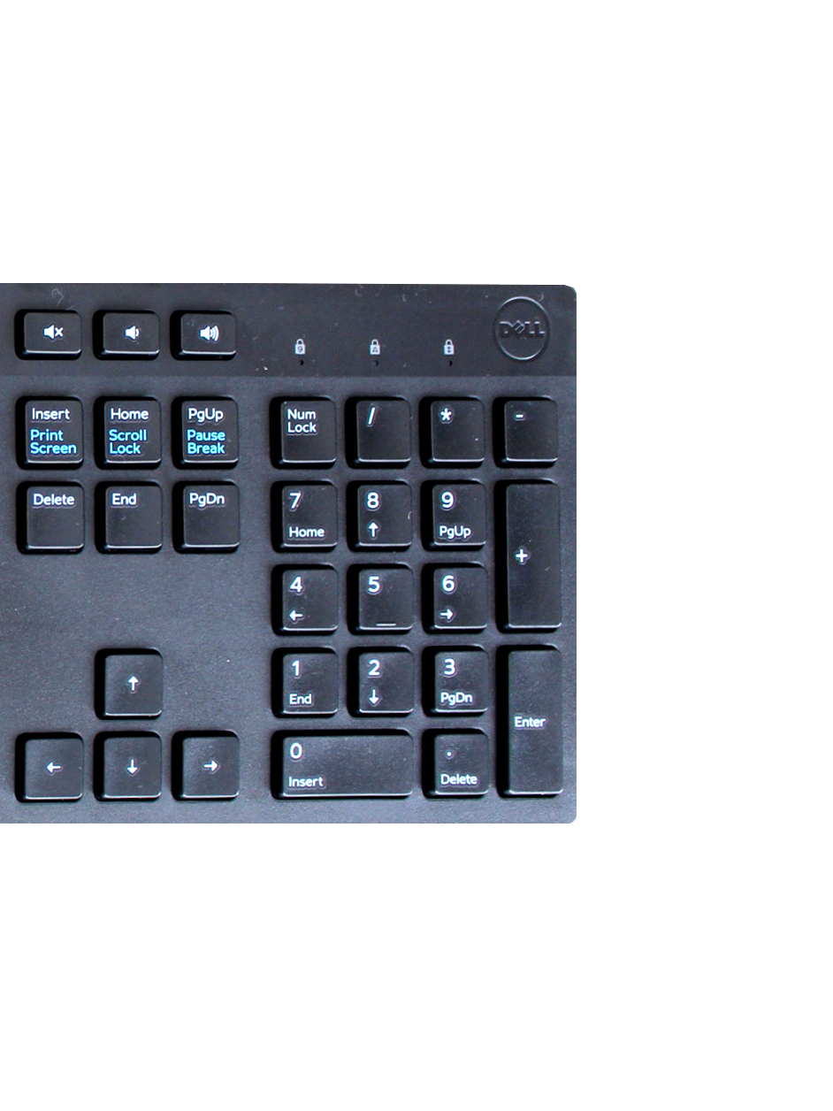 Dell | KB216 | Keyboard | Wired | Lithuanian | Black Dell | KB216 | Keyboard | Wired | Lithuanian | Black