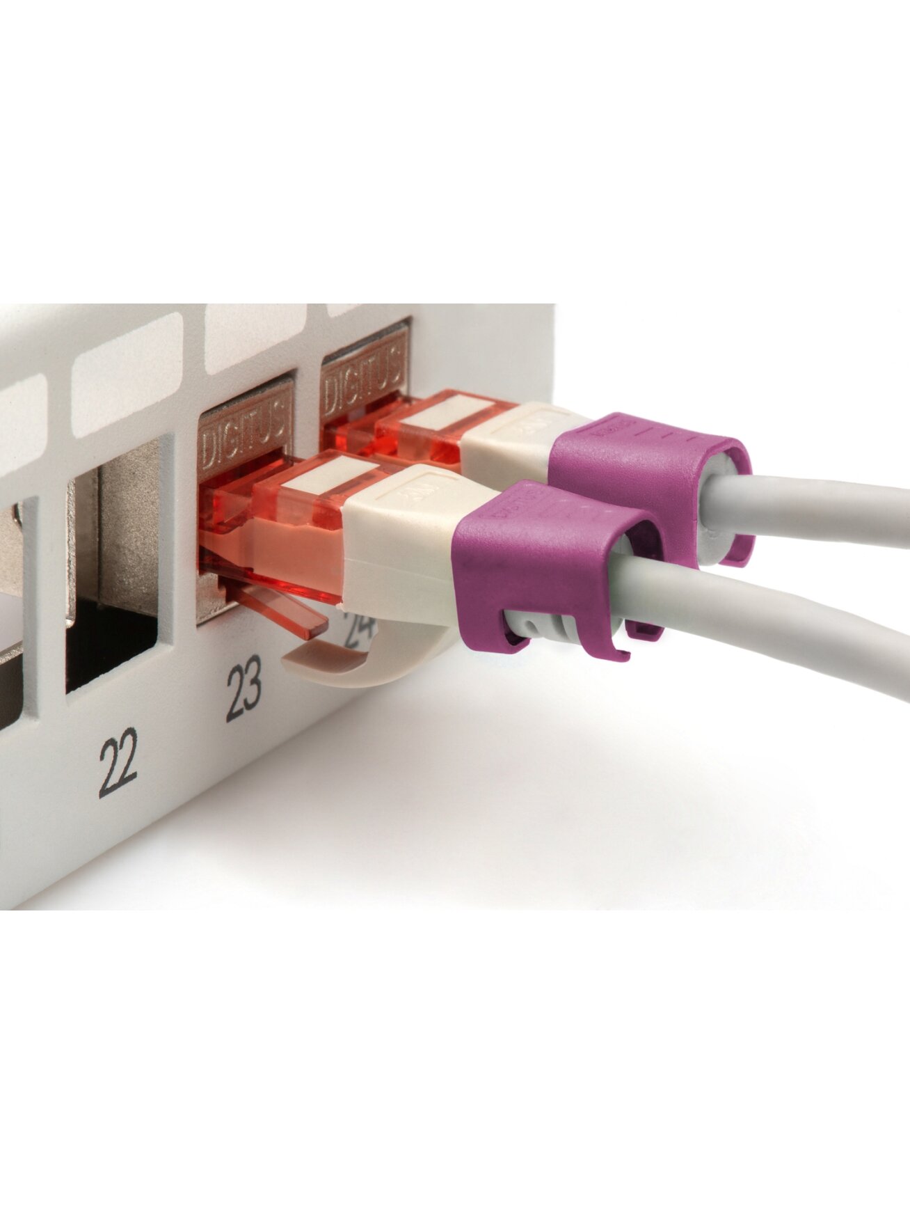 Digitus | Color clips for Patch cable | A-CC-MG | Magenta 3 Digitus | Color clips for Patch cable | A-CC-MG | Magenta 3
