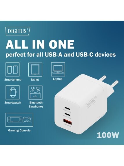 Digitus Battery charger, 100W | DA-10304 5