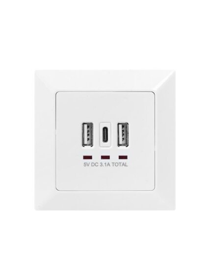 Digitus | Socket with USB A & USB-C Ports, flush mounted 1