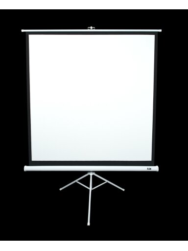 Elite Screens | Tripod Series | T113NWS1 | Diagonal 113 " | 1:1 | Viewable screen width (W) 203 cm | White