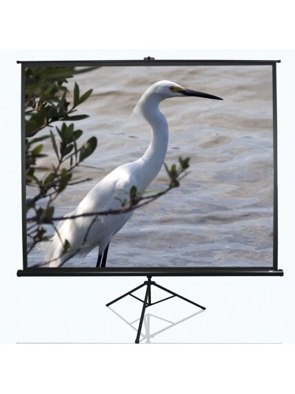 Elite Screens | Tripod Series | T100UWV1 | Diagonal 100 " | 4:3 | Viewable screen width (W) 203 cm | Black Elite Screens | Tripod Series | T100UWV1 | Diagonal 100 " | 4:3 | Viewable screen width (W) 203 cm | Black