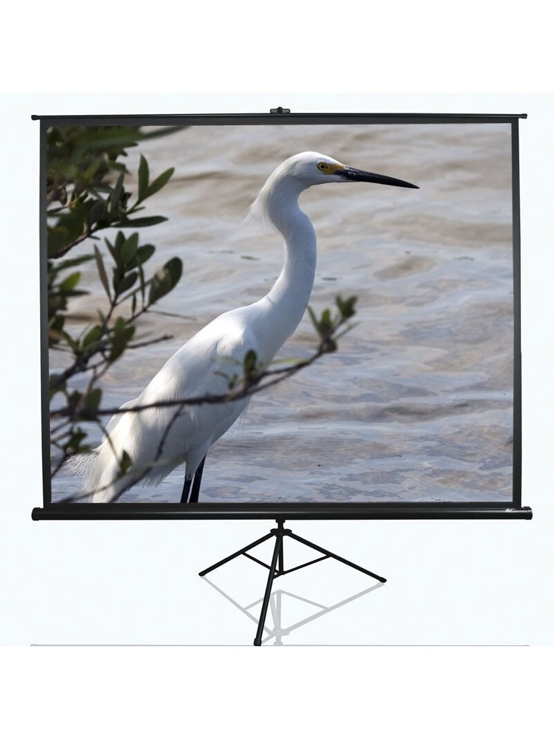 Elite Screens | Tripod Series | T100UWV1 | Diagonal 100 " | 4:3 | Viewable screen width (W) 203 cm | Black Elite Screens | Tripod Series | T100UWV1 | Diagonal 100 " | 4:3 | Viewable screen width (W) 203 cm | Black