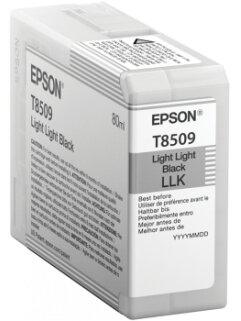 Epson T850900 | Ink Cartridge | Light Black 2