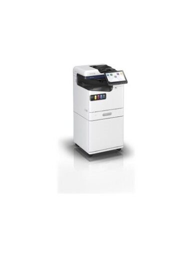 Epson | High Cabinet | AM-C400/550