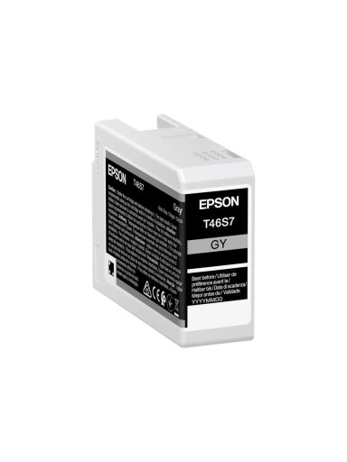 Epson UltraChrome Pro 10 ink | T46S7 | Ink cartrige | Grey Epson UltraChrome Pro 10 ink | T46S7 | Ink cartrige | Grey