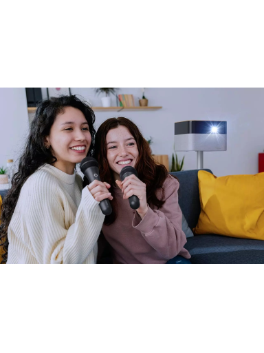 Epson Wireless Karaoke Microphone Pair | ELPKM01 Epson Wireless Karaoke Microphone Pair | ELPKM01