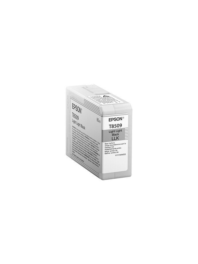 Epson T850900 | Ink Cartridge | Light Black 1