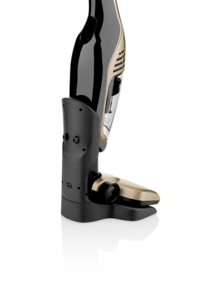 ETA | Vacuum Cleaner | ETA745390000 Moneto II | Cordless operating | Handstick 2in1 | N/A W | 25.2 V | Operating time (max) 50 min | Gold/Black 6