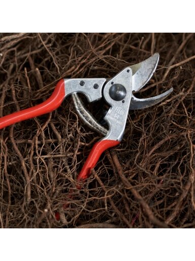 Felco | One-hand pruning shear | FELCO 14