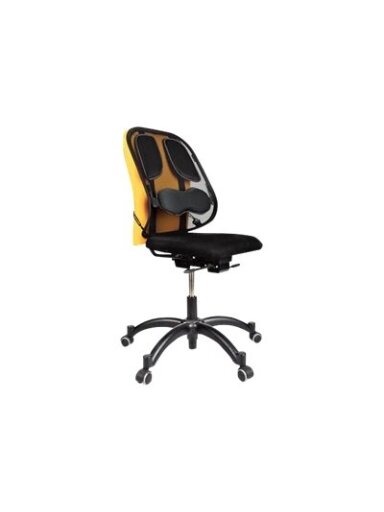 Fellowes | Professional back support with mesh Professional Series | Graphite | Depth 195 mm | Height 370 mm | Mesh textile | Width 304 mm Fellowes | Professional back support with mesh Professional Series | Graphite | Depth 195 mm | Height 370 mm | Mesh textile | Width 304 mm