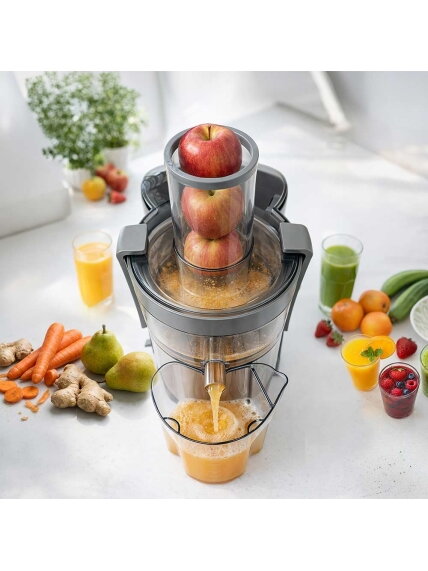 Gastroback Vital Juicer Plus | 40116 | Type Centrifugal juicer | Silver/Black | 800 W | Extra large fruit input | Number of speeds 2 7