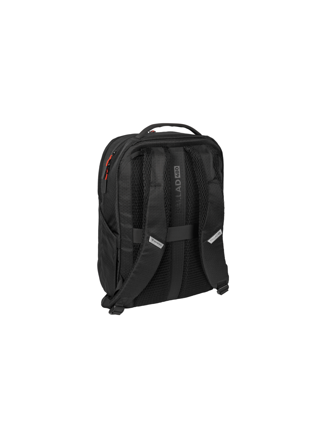 Genesis Pallad 480 | Fits up to size 16 " | Backpack | Shoulder strap | Black 6