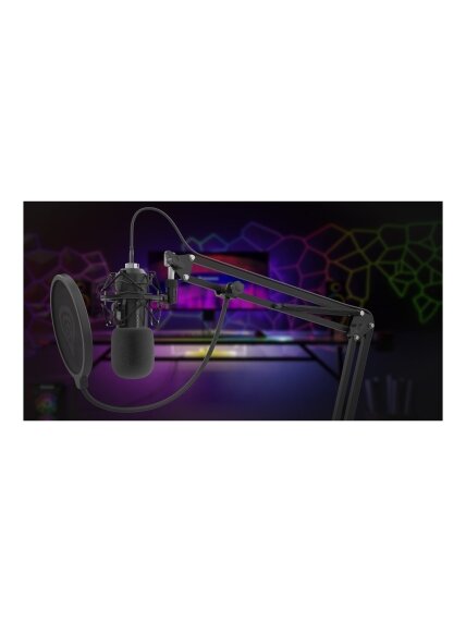 Genesis | Condenser Microphone | Radium 400 G2 | Black 7
