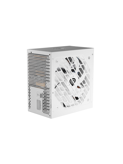 Genesis | PSU | Nihon 750NM | 750 W | White 1
