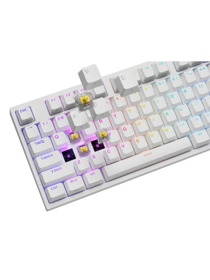 Genesis Thor 404 | Mechanical Gaming Keyboard | Wired | US | Gateron Yellow Pro | White 5 Genesis Thor 404 | Mechanical Gaming Keyboard | Wired | US | Gateron Yellow Pro | White 5