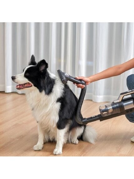 Jimmy | Pet Brush/Flexible Hose for PW11 and HW11 series 3 Jimmy | Pet Brush/Flexible Hose for PW11 and HW11 series 3