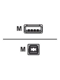 Logilink | USB 2.0 connection cable | USB-A to USB-B USB A male | USB B male Logilink | USB 2.0 connection cable | USB-A to USB-B USB A male | USB B male