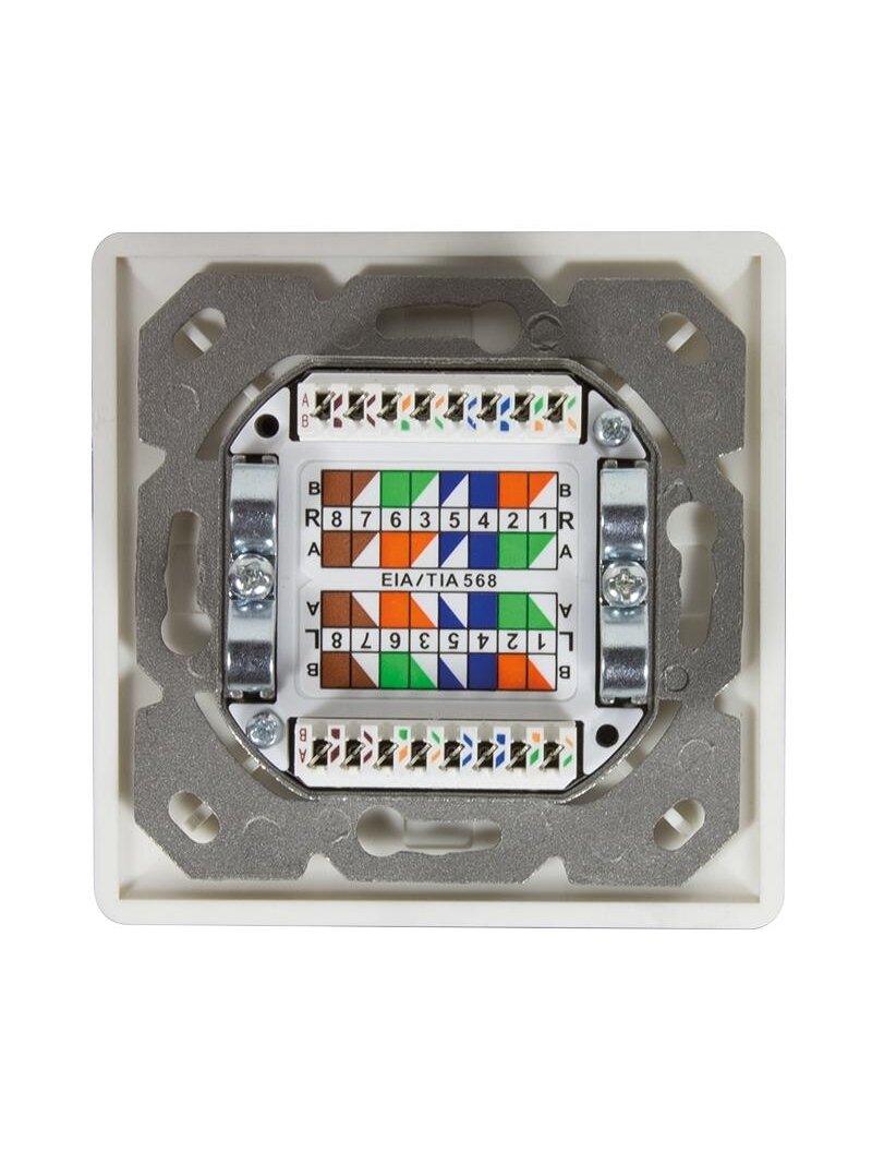 Logilink | Cat.6A Wall Outlet STP | NP0124 2