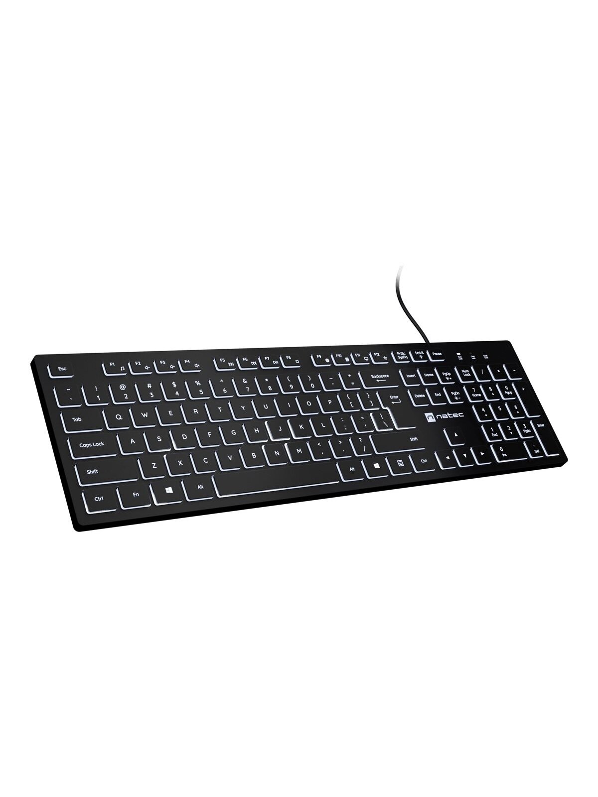 Natec | Herring Glow | Keyboard | Wired | US | Black Natec | Herring Glow | Keyboard | Wired | US | Black