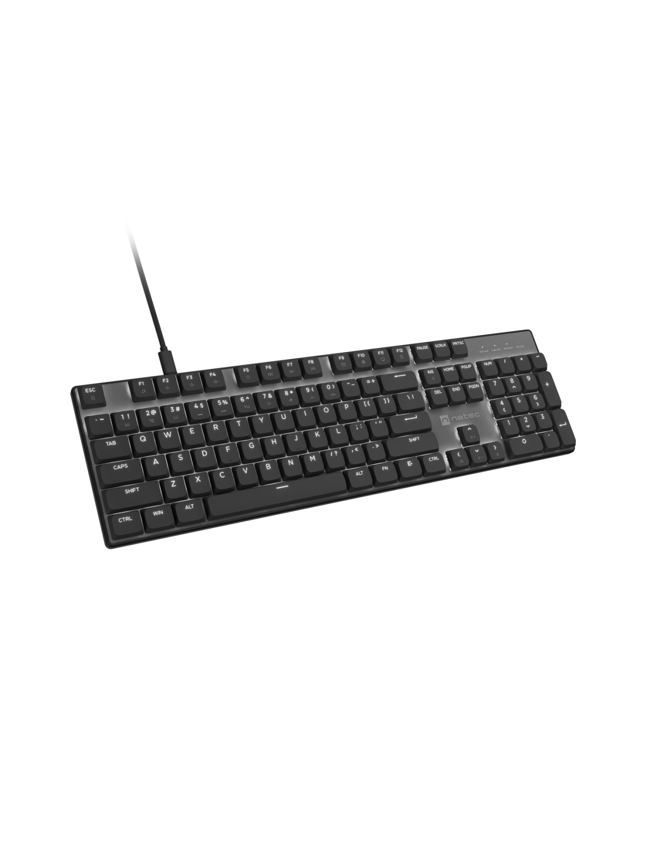 Natec Amberjack | Keyboard | Wired | US | Linear | White backlight, Hot-swappable switches, Anti-ghosting, Built-in memory, Macro recording | Black/Gray 1 Natec Amberjack | Keyboard | Wired | US | Linear | White backlight, Hot-swappable switches, Anti-ghosting, Built-in memory, Macro recording | Black/Gray 1