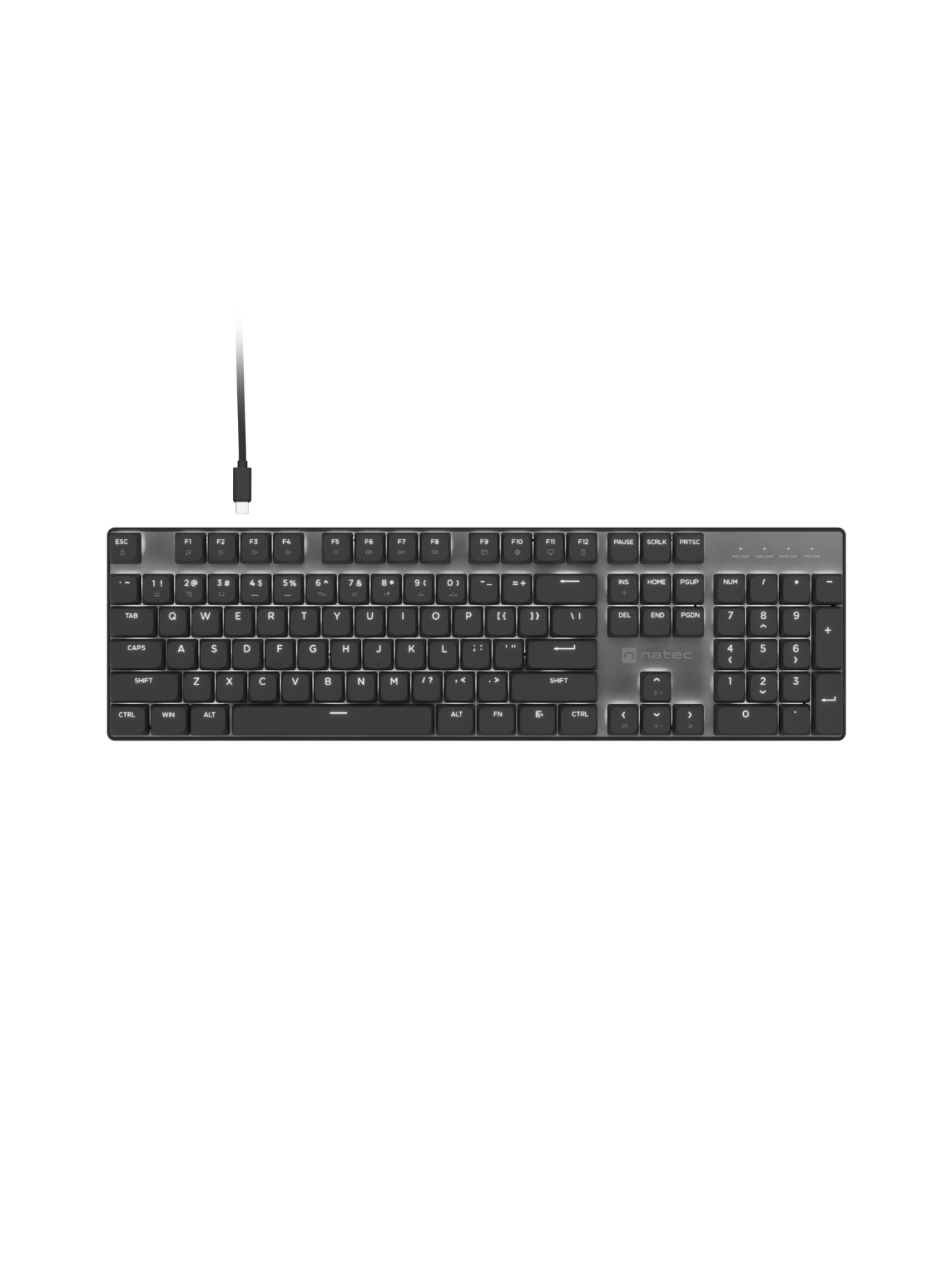 Natec Amberjack | Keyboard | Wired | US | Linear | White backlight, Hot-swappable switches, Anti-ghosting, Built-in memory, Macro recording | Black/Gray Natec Amberjack | Keyboard | Wired | US | Linear | White backlight, Hot-swappable switches, Anti-ghosting, Built-in memory, Macro recording | Black/Gray