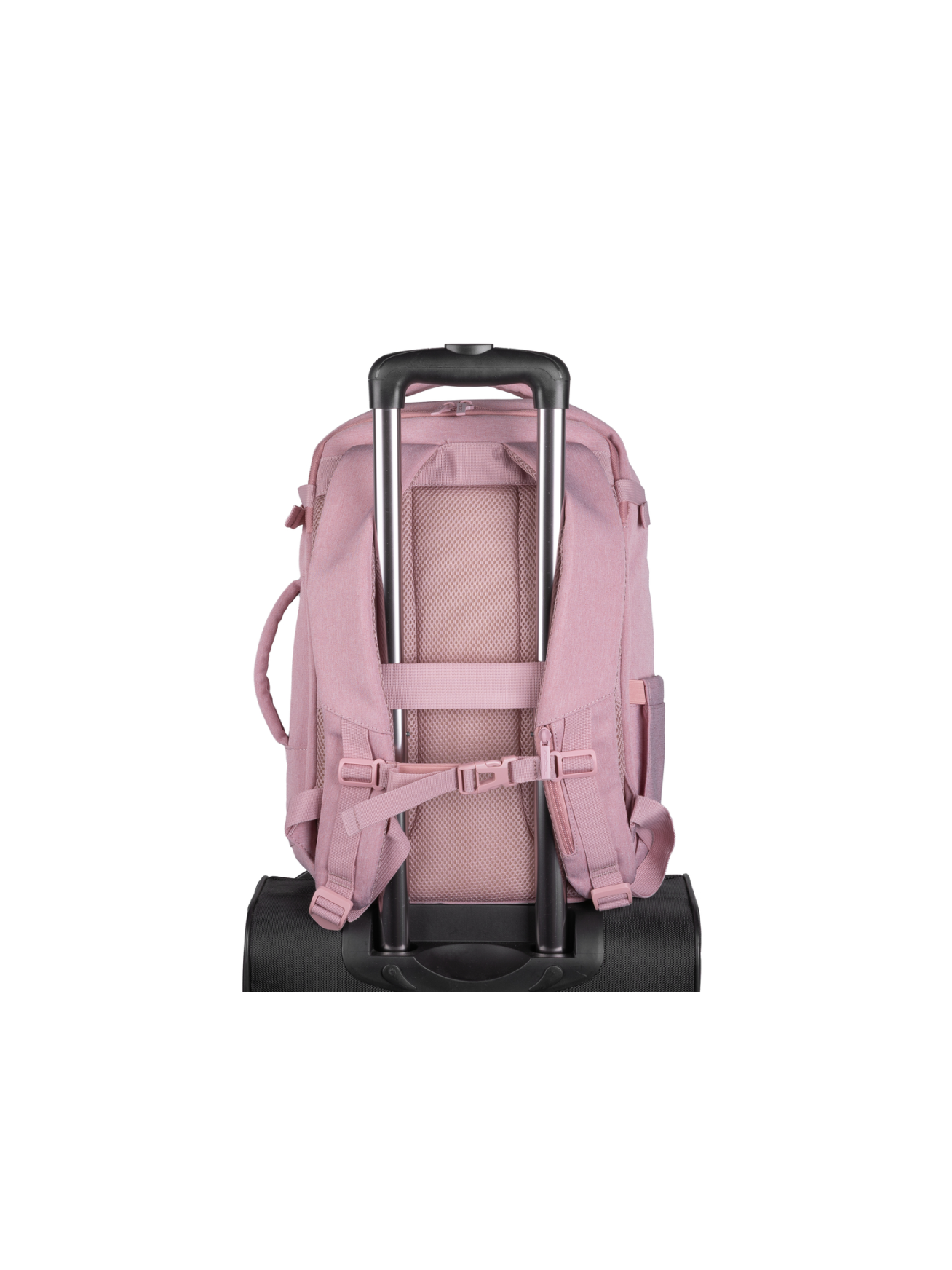 Natec Camel Lite | Fits up to size 15.6 " | Backpack | Pink 9
