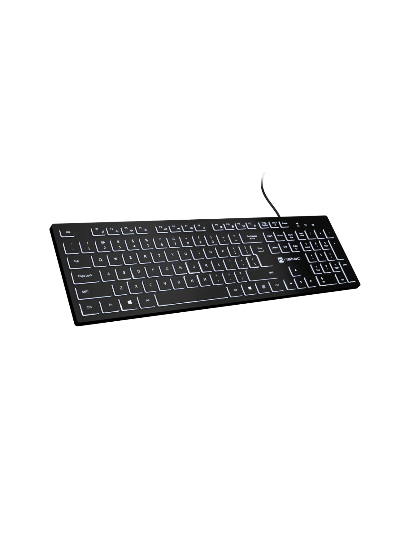 Natec | Herring Glow | Keyboard | Wired | US | Black 1 Natec | Herring Glow | Keyboard | Wired | US | Black 1