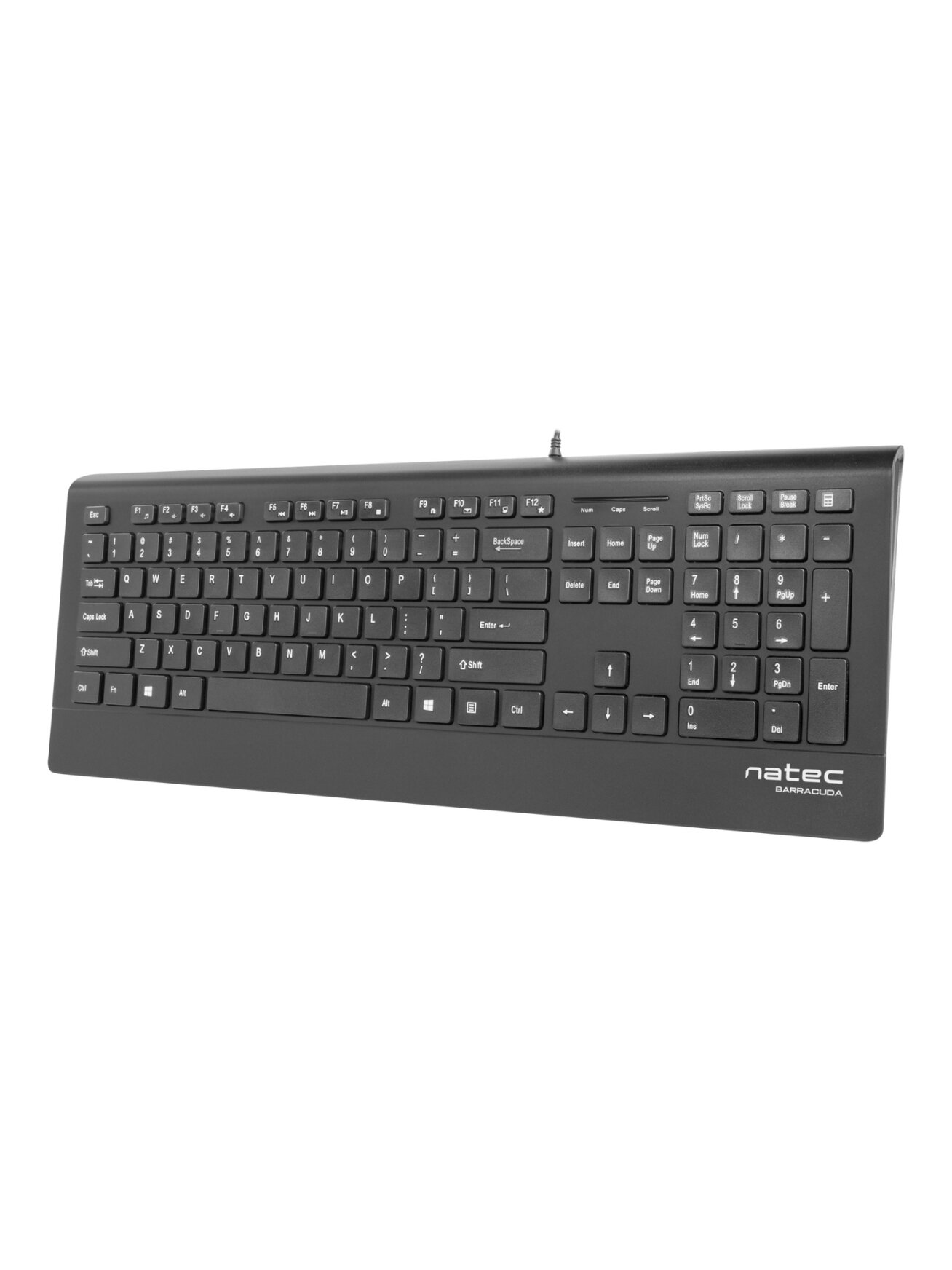 Natec Keyboard, Barracuda, US Layout, Slim | Natec | Keyboard | Barracuda | Standard | Wired | US | Black