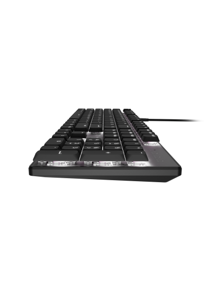 Natec Amberjack | Keyboard | Wired | US | Linear | White backlight, Hot-swappable switches, Anti-ghosting, Built-in memory, Macro recording | Black/Gray 3 Natec Amberjack | Keyboard | Wired | US | Linear | White backlight, Hot-swappable switches, Anti-ghosting, Built-in memory, Macro recording | Black/Gray 3