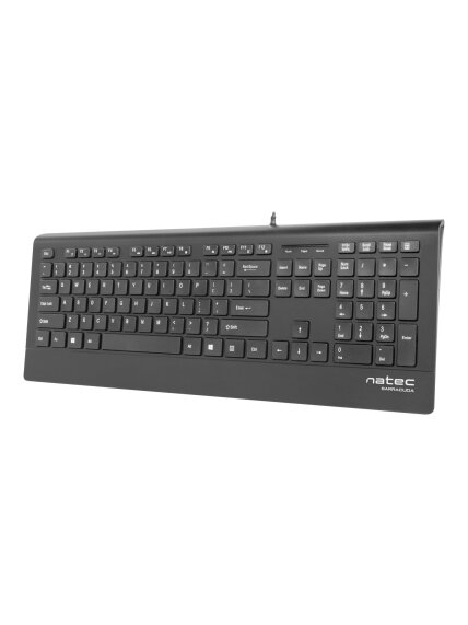 Natec Keyboard, Barracuda, US Layout, Slim | Natec | Keyboard | Barracuda | Standard | Wired | US | Black